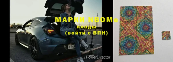 прущие грибы Балабаново