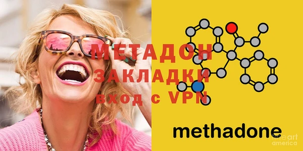 прущие грибы Балабаново